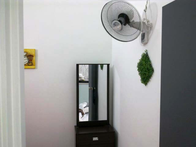 Wall Fan 3